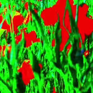 Adieu-au-langage-Jean-Luc-Godard