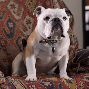 PATERSON_D29_0162.ARW